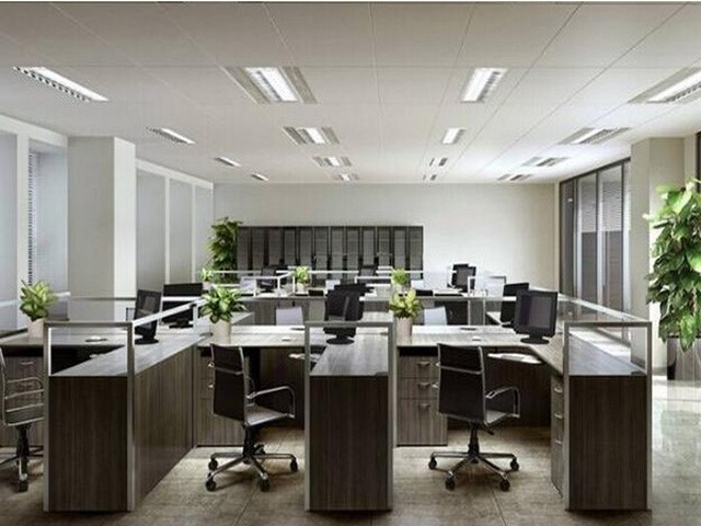 奥林巴斯Terra便携式XRD分析仪代理服务